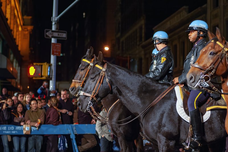 Социальный контроль и восприятие безопасности